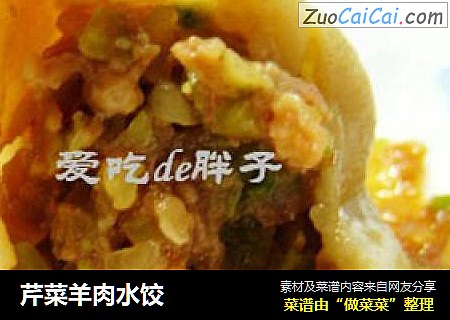 芹菜羊肉水饺
