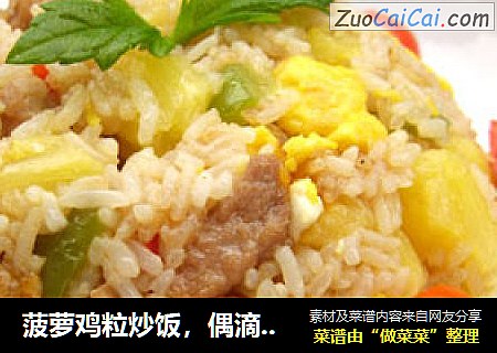 菠萝鸡粒炒饭，偶滴最爱~吃货们有福鸟。O(∩_∩)O哈哈