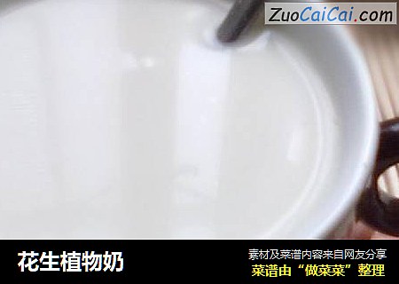 花生植物奶