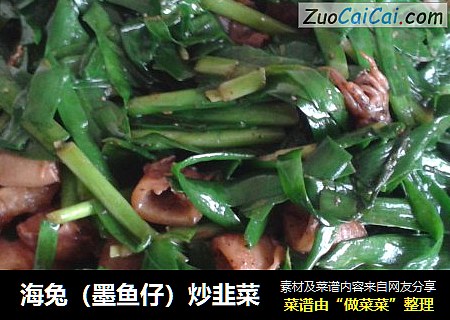 海兔（墨鱼仔）炒韭菜