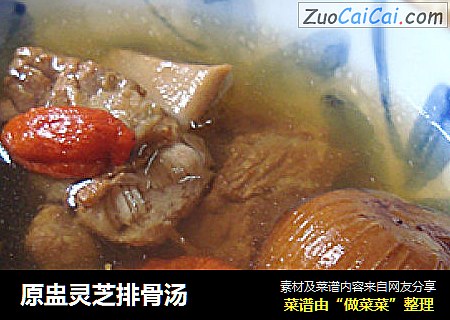 原盅灵芝排骨汤