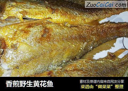 香煎野生黄花鱼