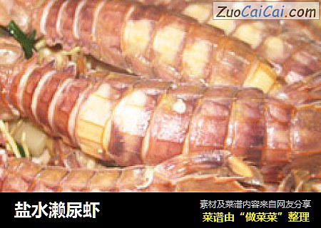盐水濑尿虾