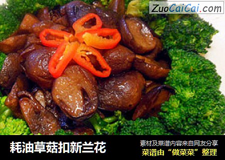 耗油草菇扣新兰花
