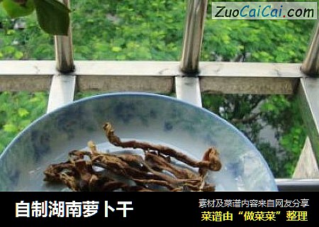自制湖南萝卜干