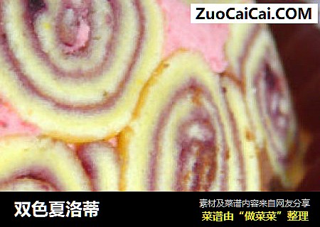 双色夏洛蒂