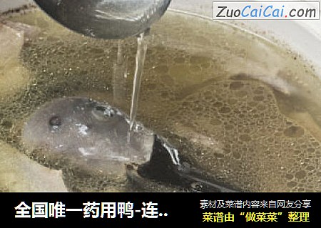 全国唯一药用鸭-连城白鸭原产地推荐煮法