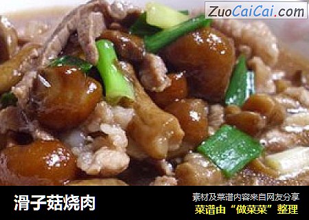 滑子菇烧肉