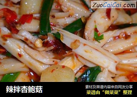 辣拌杏鲍菇