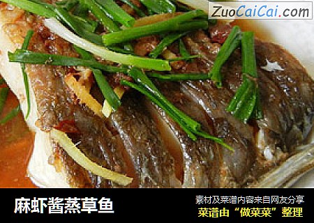 麻虾酱蒸草鱼