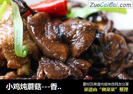 小鸡炖蘑菇---香喷喷好下饭