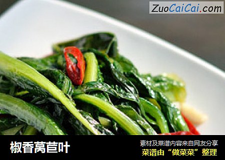 椒香莴苣叶