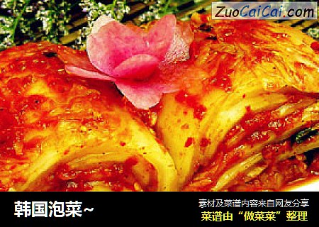 韩国泡菜~