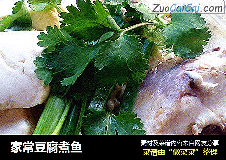 家常豆腐煮鱼