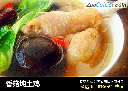 香菇炖土鸡