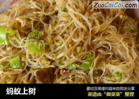 蚂蚁上树