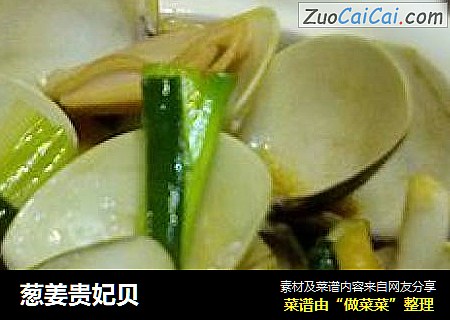 葱姜贵妃贝