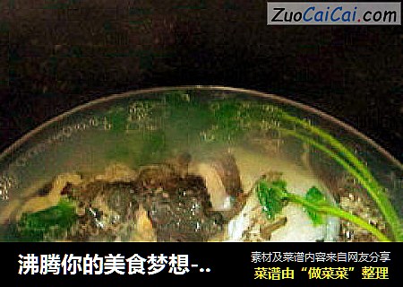 沸腾你的美食梦想---煲鱼头汤