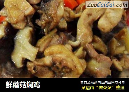 鲜蘑菇焖鸡