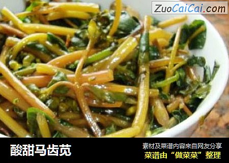 酸甜马齿苋