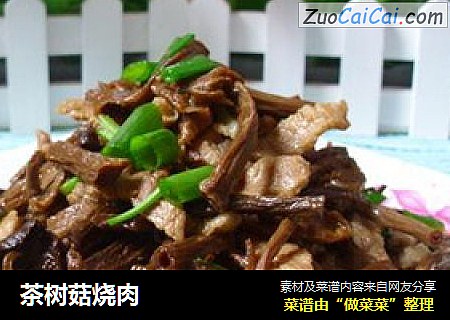 茶树菇烧肉