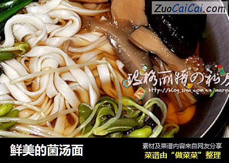 鲜美的菌汤面