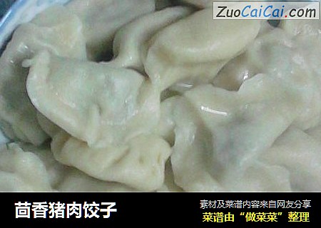 茴香猪肉饺子