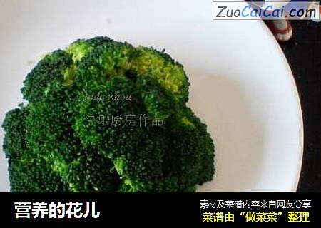 营养的花儿