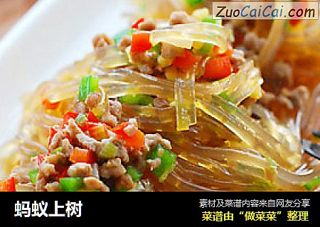 蚂蚁上树