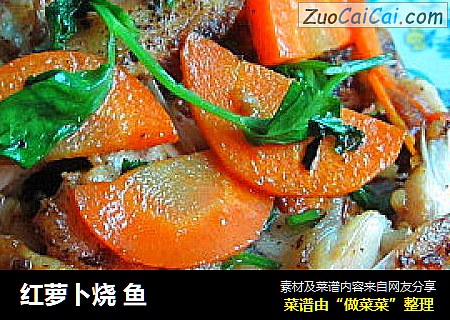 红萝卜烧 鱼