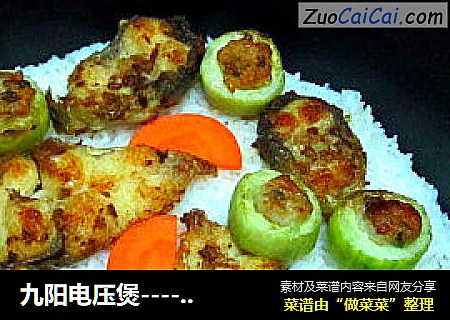 九阳电压煲----煲出香喷喷的米饭