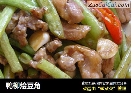 鸭柳烩豆角