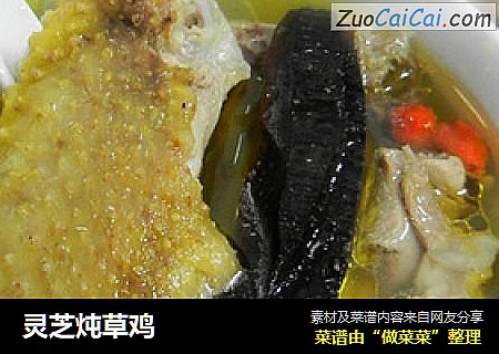 灵芝炖草鸡