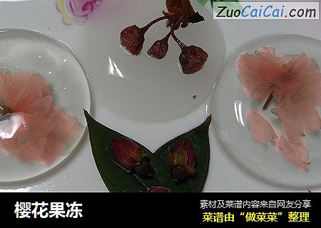 樱花果冻