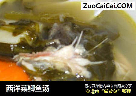西洋菜鲫鱼汤