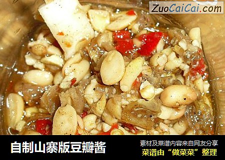自制山寨版豆瓣酱