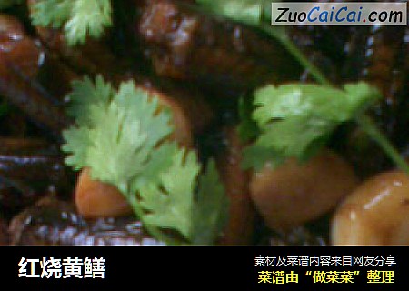 红烧黄鳝