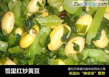 雪里红炒黄豆
