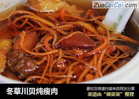 冬草川贝炖瘦肉