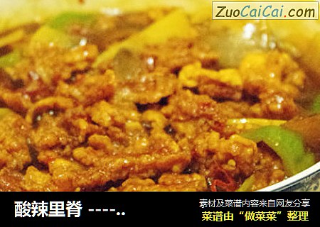 酸辣里脊 -----  奇妙的味道