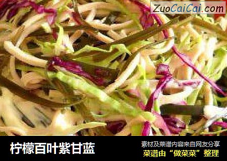 柠檬百叶紫甘蓝