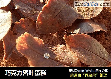 巧克力落叶蛋糕
