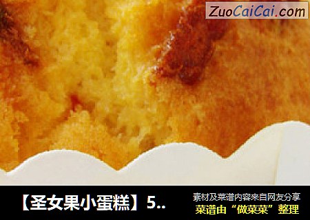 【圣女果小蛋糕】5分钟打造完美蛋糕