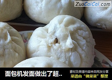 面包机发面做出了超满意的两种白胖包子