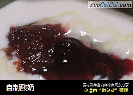 自制酸奶