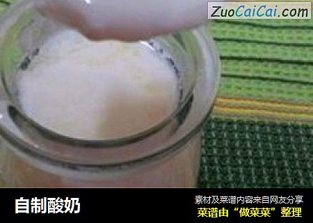 自制酸奶