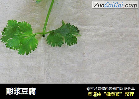 酸浆豆腐