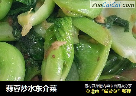 蒜蓉炒水东介菜