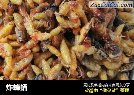 炸蜂蛹