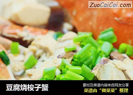 豆腐烧梭子蟹